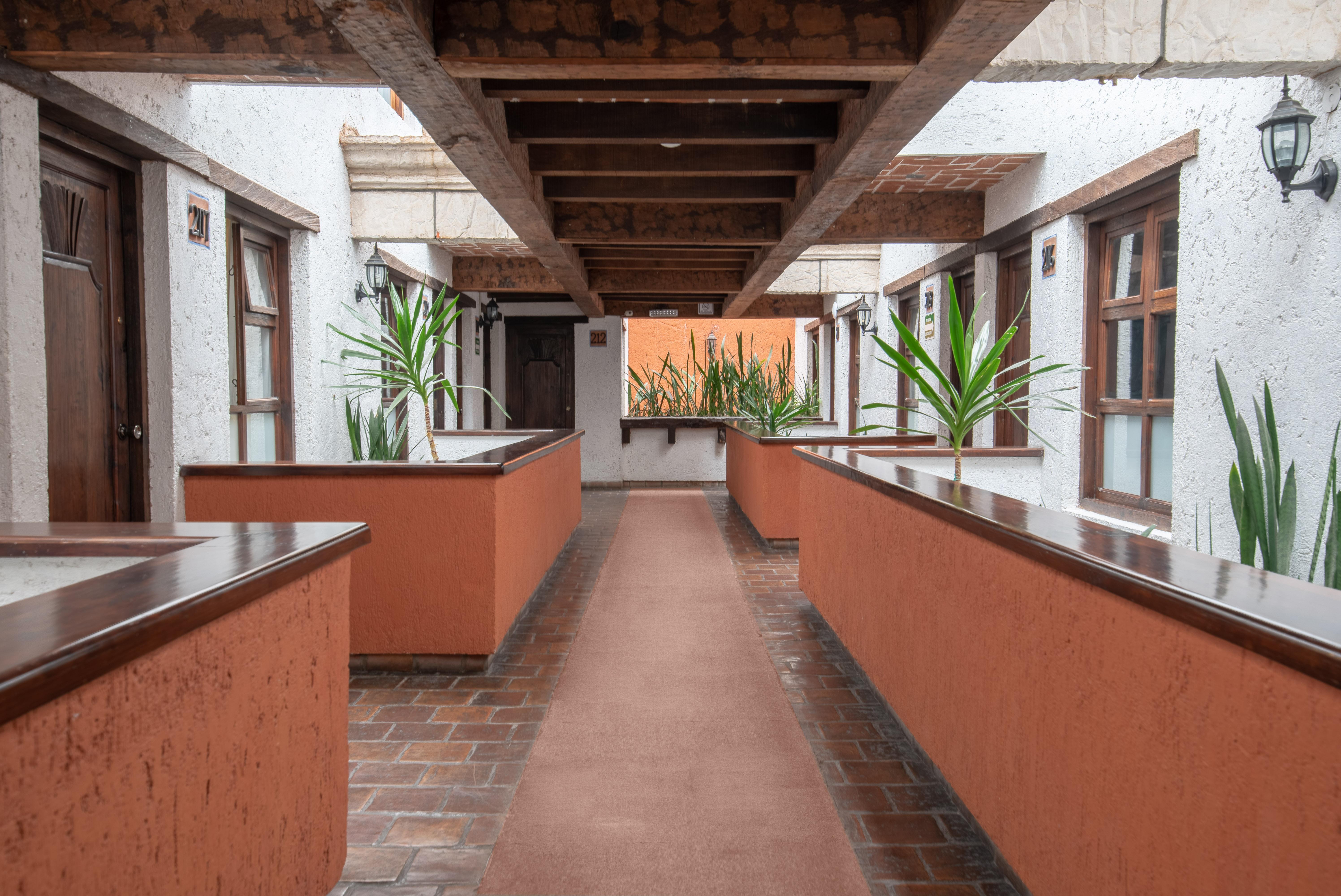 Plaza Magnolias Hotel San Cristóbal de Las Casas Exterior foto